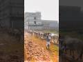 Vardaat: The Mafia Behind India's Most Notorious Dog Life
