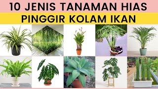 Download Lagu Cantik Dan Menarik, 10 Jenis Tanaman Hias Pinggir Kolam Ikan Yang Bikin Sejuk | Tanaman Kolam MP3