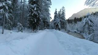 Driving in Vrata valley - Forest road in Slovenia