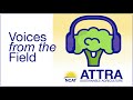 Episode 214. Attracting and Protecting Pollinators
