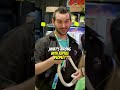What’s wrong with reptile hobbyists? 🦎 #aquariums #reptiles #snakes #reeftank #fishtank