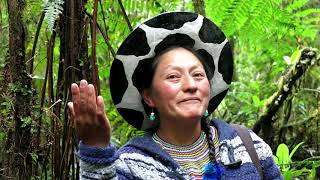 Faculty Led Program: Stetson in Ecuador (Summer 2021)