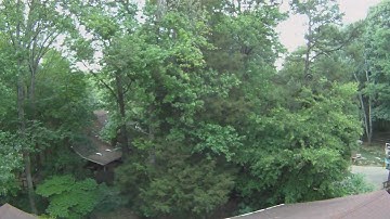 Stabilization Test Video