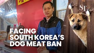 Facing South Korea's dog meat ban