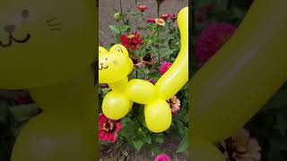 Balloon Animal Cat DIY #cat #balloonanimals #balloondecoration