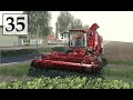 Farming Simulator 19 Уборка  СВЕКЛЫ  Прохождение Карта Lone Oak Farm # 35