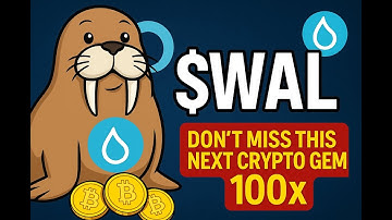 "Walrus on Sui? The Decentralized Storage Solution Set to Moon! 🚀