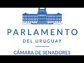 Sesión de la Cámara de Senadores | 30/09/2020 | República Oriental del Uruguay