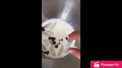 (K+R) Smoothie challenge!