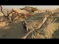 AC Mirage || Rescue the people with undected  #Abhikanksha#gaming#assassinscreed