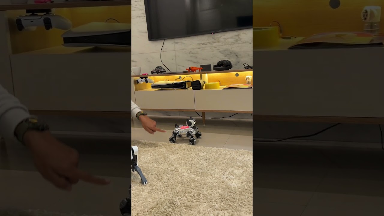 A reação dela foi a mesma que a minha quando vi esse robô pela primeira vez.#Kids #tecnologia #robot