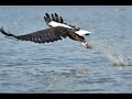 Lake Naivasha, Kenya