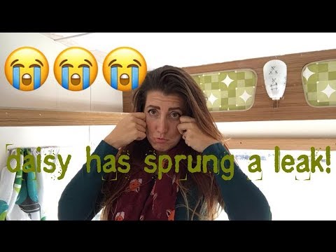 Leak - Doing up Daisy - YouTube