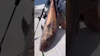 Oman fish #fishing #ocean #gopro #outdoors #waves #fish #surf #boating