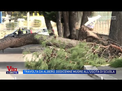 Video Muore schiacciata da un albero a 12 anni, tragedia annunciata di Alicia - Vita in Diretta 14/04/2026