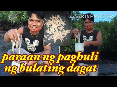 Paraan ng paghuli ng Bulating Dagat o 