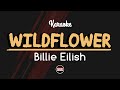 Billie Eilish - WILDFLOWER (Karaoke with Lyrics)