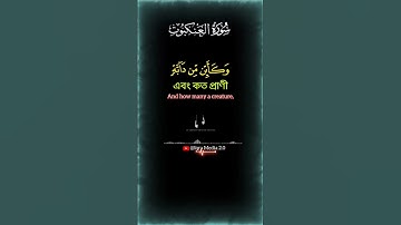 Surah Al 'Ankabut Ayat 59 60   #surahankabot #سورة العنكبوت #islam #quran #mohammad #muslim
