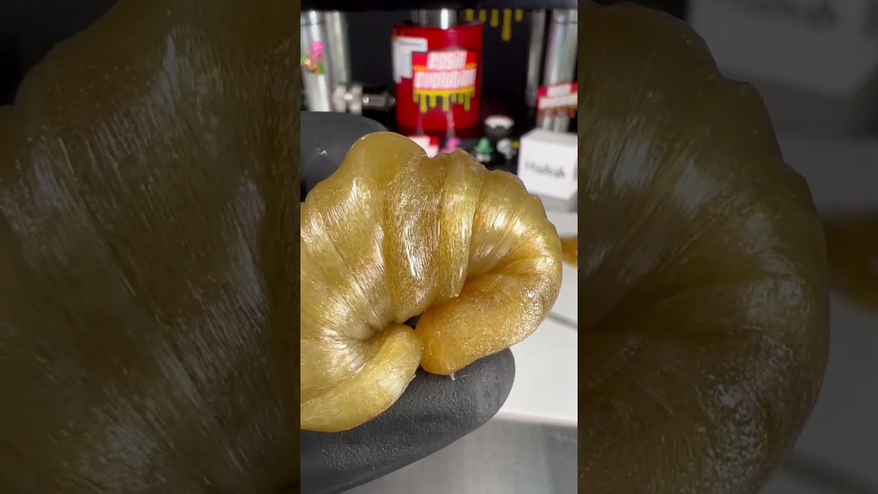 Hashish G🧄M🍄O🧅 processed only with 