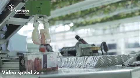 Robotic Harvesting Strawberry, Part 2