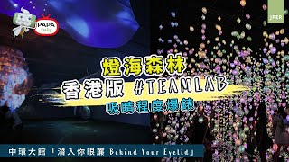 PAPA Daily | 中環大館 | 潛入你眼簾 |燈海森林 | 香港版TEAMLAB | LED燈打卡位