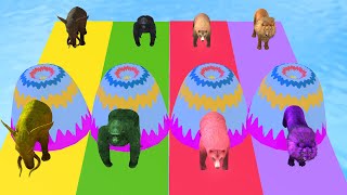 Long Slide Game With Loin Elephant Gorilla Buffalo Tiger - 3d Animal Game - Wild Animals