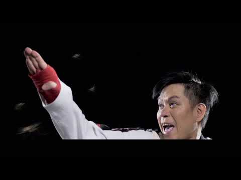Advanced Multi-Insect Killer TVC: Karate