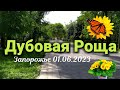 Запорожье | Дубовая Роща | Первый день лета ☀️