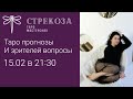 Таро расклады на общественно значимые темы