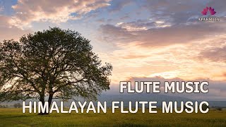 Himalayan Flute Music | Relaxing Music | Meditation Music | (बाँसुरी) Aparmita Ep. 147 by Aparmita 4,460 views 4 months ago 1 hour, 2 minutes