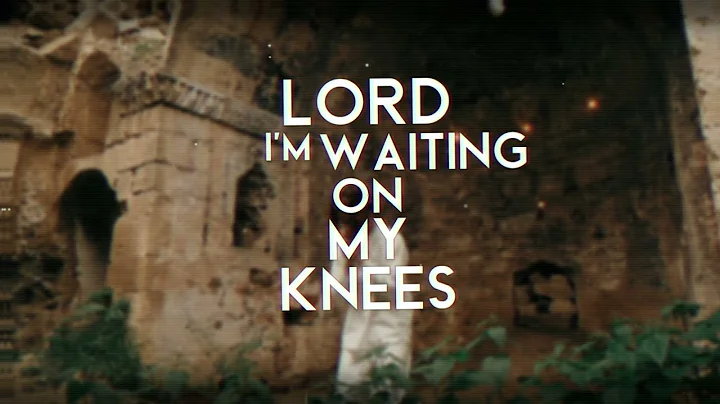 Raining in the Trees-Lyric Video