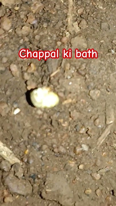 bath chappal