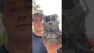 Clips Of Studbluds Weekend In Georgia With Trail Camera Pictures