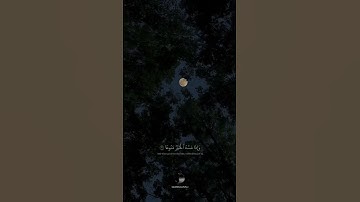 { إِنَّ ٱلۡإِنسَٰنَ خُلِقَ هَلُوعًا إِذَا مَسَّهُ ٱلشَّرُّ جَزُوعٗا } || بصوت القارئ شريف مصطفى
