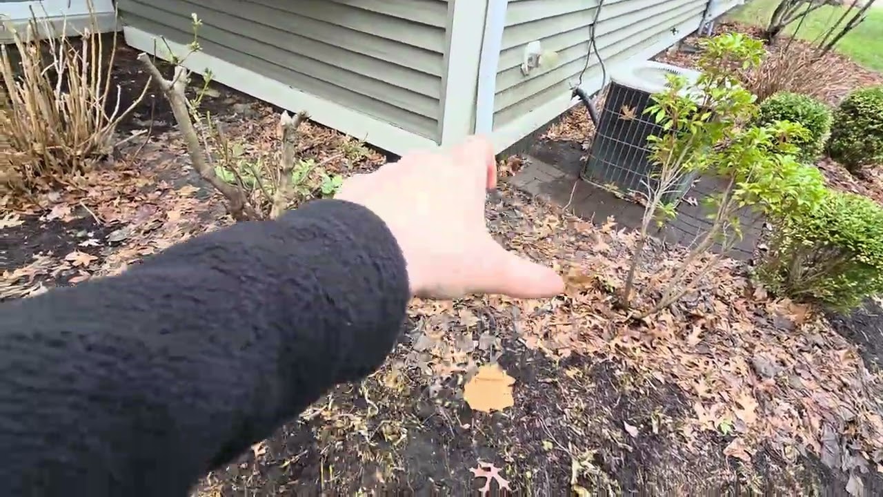 Mescan- clean up and mulch 