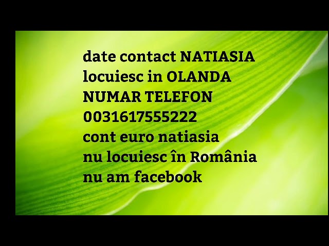 dating on- line în olanda