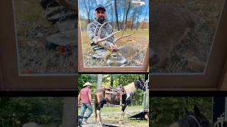 Exploring the Untapped Treasures of Tennessee's Outdoors  #shorts #tnwildcast #podcast
