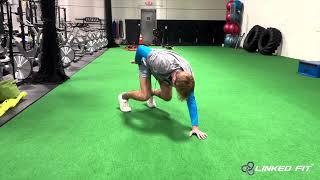 Bear Stance to Pike Position 1 Arm