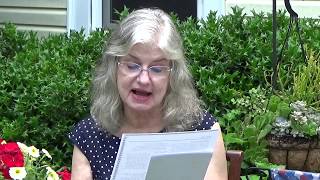 Yoked, Matthew 11:16-19, 25-30, sermon 7/5/20 - The Reverend Dr. Shirley B. Wright
