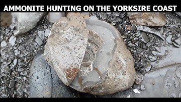 Ammonite hunting on the Yorkshire coast. #whitby #fossilhunting