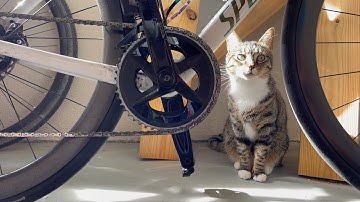 SRAM AXS Power Meter Battery: How to change the DUB PWR type