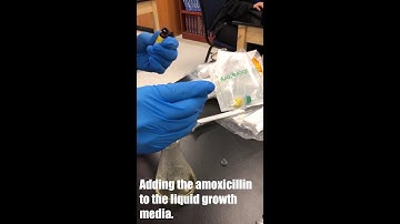 GFP Purification - STEM SOS PBL Level 3 Project