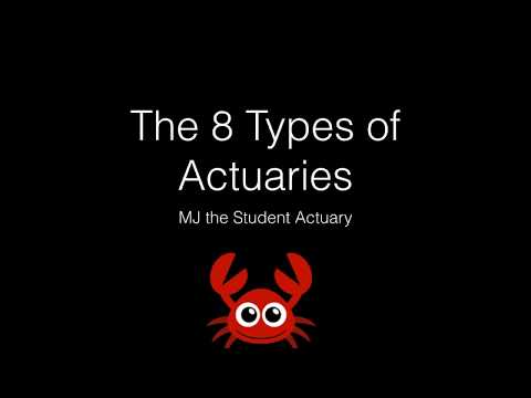 The 8 Types of Actuaries