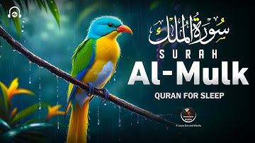 Surah Al-Mulk سورة الملك | Heart-Touching Lofi Quran for Restful Nights & Healing #lofiquran