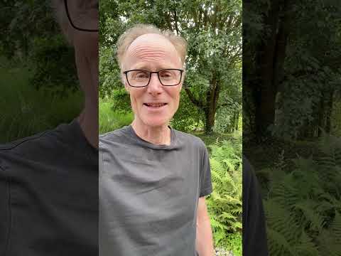 Dein biologisches Alter