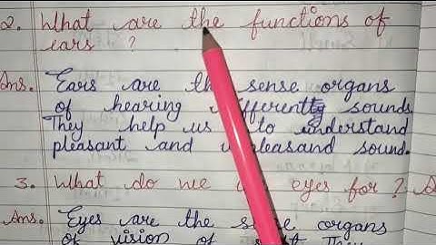 Class 4th Environmental Science (EVS) Chapter 2 Sense Organs Window to the world  Exercise