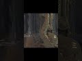 СТЕЛСИМ В НЕВИДИМОСТИ ПО ЗАПРЕТНЫМ МЕСТАМ ХОГВАРТСА