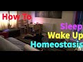 HOW TO Sleep &amp; Wake Up - Homeostasis - Tao Chi Kai