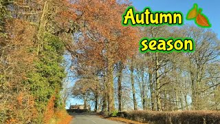 Beautiful Weather in this Autumn Season | Way going to work | Ghi Corr