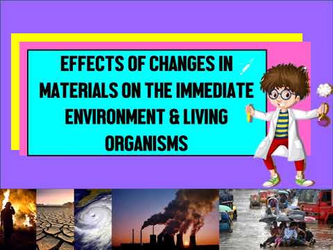 EFFECTS OF CHANGES IN MATERIALS ON THE IMMEDIATE ENVIRONMENT - YouTube